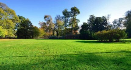 Frépillon Maison neuve - 2455539-11819annonce120260312x8qsg.jpeg Maisons Balency