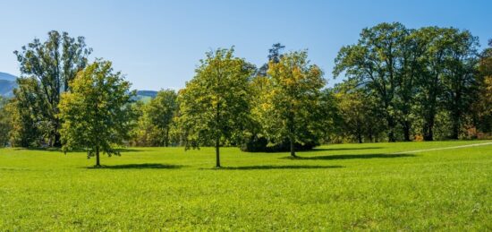 Terrain à bâtir à Saint-Maurice-Montcouronne, Île-de-France