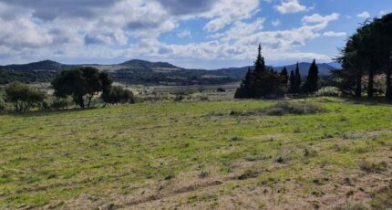 Tarerach Terrain à bâtir - 2389048-4671annonce1202601120mKuO.jpeg Maisons Balency