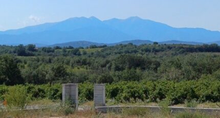 Tresserre Maison neuve - 2389002-4671annonce120260112zZqMR.jpeg Maisons Balency