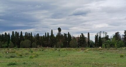 Palau-del-Vidre Maison neuve - 2458279-4671annonce120260316hms3L.jpeg Maisons Balency