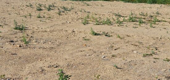 Terrain à bâtir à Elne, Occitanie