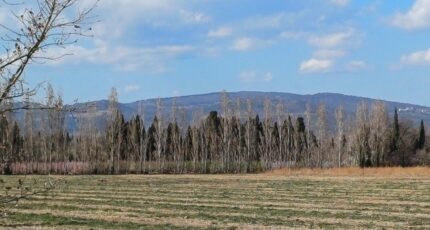 Palau-del-Vidre Maison neuve - 2458580-4671annonce120260317Q6Z2M.jpeg Maisons Balency