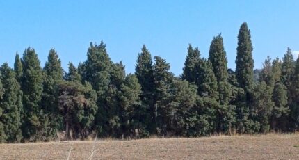 Théza Terrain à bâtir - 2458639-4671annonce120260317DdR94.jpeg Maisons Balency