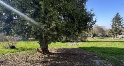 Ozoir-la-Ferrière Maison neuve - 2454579-11374annonce120260312JUgM1.jpeg Maisons Balency