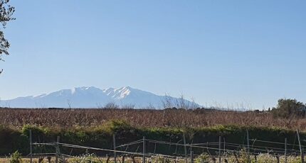 Cabestany Terrain à bâtir - 2460042-4671annonce120260318IZNrF.jpeg Maisons Balency