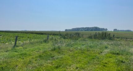 Tourville-les-Ifs Maison neuve - 2467485-5578annonce120260325H7LRA.jpeg Maisons Balency