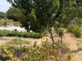 Maison à construire à Milly-la-Forêt (91490) 2591308-11148annonce1202607272r2qV.jpeg Maisons Balency