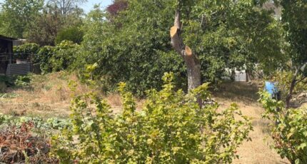 Milly-la-Forêt Maison neuve - 2591316-11148annonce220260727OTPMN.jpeg Maisons Balency