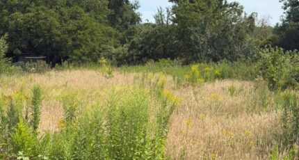Milly-la-Forêt Maison neuve - 2591329-11148annonce120260727M73ye.jpeg Maisons Balency