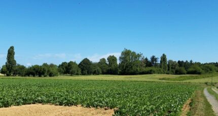 Boullay-les-Troux Maison neuve - 2569635-11148annonce120260630ViWFo.jpeg Maisons Balency