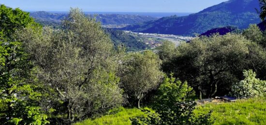 Terrain à bâtir à Bonson, Provence-Alpes-Côte d'Azur