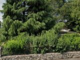 Maison à construire à Villemoisson-sur-Orge (91360) 2475837-11552annonce120260528rp8O5.jpeg Maisons Balency