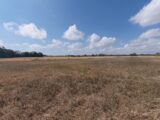 Terrain à bâtir à Beaumont-du-Gâtinais (77890) 2563379-4684annonce120260624x5RKx.jpeg Maisons Balency