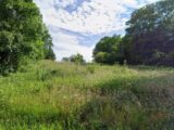 Terrain à bâtir à Vulaines-sur-Seine (77870) 2565335-4684annonce120260625BH2Di.jpeg Maisons Balency