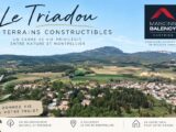 Terrain à bâtir à Le Triadou (34270) 2624516-11872annonce120260908L3Q4u.jpeg Maisons Balency
