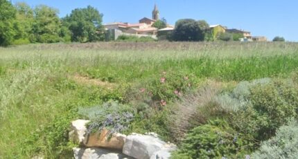 Gaujac Maison neuve - 2628286-11833annonce120260910wHV8t.jpeg Maisons Balency