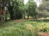 Maison à construire à Montignargues (30190) 2630976-11833annonce120260911Oev5R.jpeg Maisons Balency