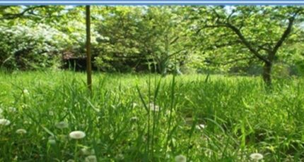 Saintry-sur-Seine Maison neuve - 2552605-4684annonce2202606174EFnk.jpeg Maisons Balency