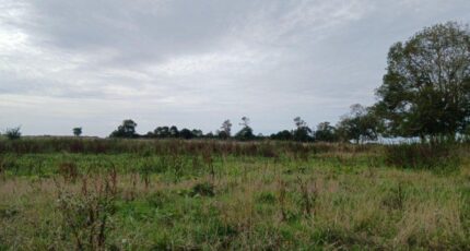 Manerbe Maison neuve - 2636196-11563annonce120260915leDXi.jpeg Maisons Balency