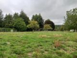 Maison à construire à Saint-Martin-aux-Chartrains (14130) 2637485-11563annonce220260917o99fk.jpeg Maisons Balency