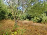Terrain à bâtir à Nages-et-Solorgues (30114) 2637958-11833annonce320260917NfN9X.jpeg Maisons Balency