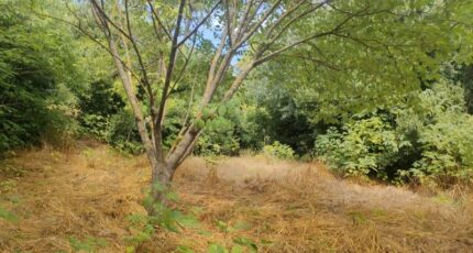 Nages-et-Solorgues Maison neuve - 2637964-11833annonce320260917NfN9X.jpeg Maisons Balency