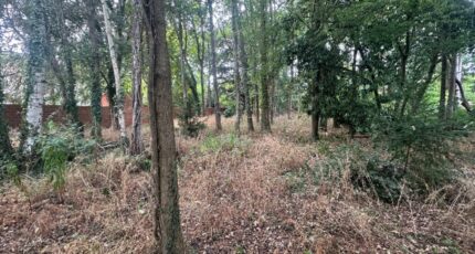 Congis-sur-Thérouanne Maison neuve - 2637972-11881annonce320260917WTmkk.jpeg Maisons Balency