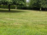 Terrain à bâtir à Bouleurs (77580) 2638733-11881annonce120260917bbGXh.jpeg Maisons Balency