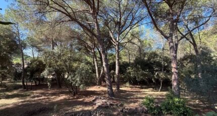 Nages-et-Solorgues Maison neuve - 2639398-11833annonce220260918u1lZg.jpeg Maisons Balency