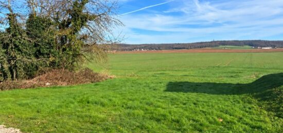 Terrain à bâtir à Le Plessis-aux-Bois, Île-de-France
