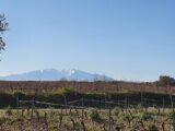 Terrain à bâtir à Perpignan (66000) 2561546-4671annonce120260623KXRGL.jpeg Maisons Balency
