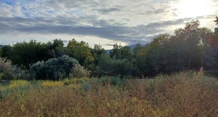 Montesquieu-des-Albères Terrain à bâtir - 2561883-4671annonce1202606236qQL6.jpeg Maisons Balency