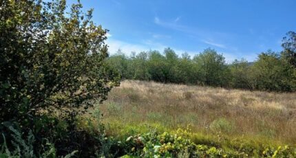 Perpignan Maison neuve - 2562707-4671annonce1202606241LPVh.jpeg Maisons Balency