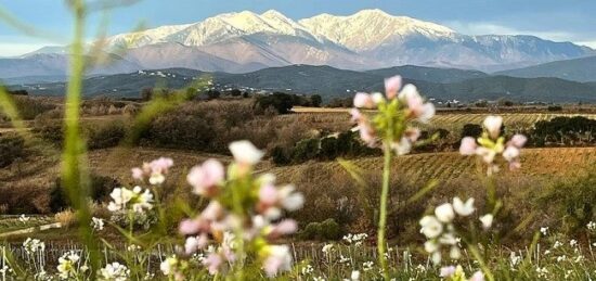 Terrain à bâtir à Millas, Occitanie