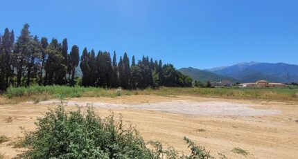 Rigarda Terrain à bâtir - 2563456-4671annonce120260624rgpl3.jpeg Maisons Balency