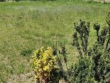 Terrain à bâtir à Tresserre (66300) 2563482-4671annonce120260624iu0uK.jpeg Maisons Balency