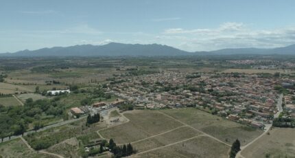 Ponteilla Terrain à bâtir - 2563964-4671annonce120260625HpEET.jpeg Maisons Balency