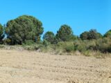 Terrain à bâtir à Pollestres (66450) 2588830-4671annonce120260723seoiQ.jpeg Maisons Balency