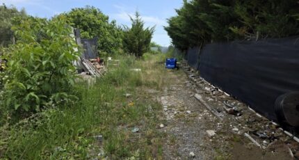 Pierrelaye Maison neuve - 2561486-11901annonce120260623QNmSC.jpeg Maisons Balency