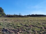 Terrain à bâtir à Villeneuve-la-Rivière (66610) 2616397-4671annonce120260902p6kBt.jpeg Maisons Balency
