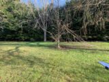 Maison à construire à Mareil-sur-Mauldre (78124) 2620448-10622annonce120260904SIQvB.jpeg Maisons Balency