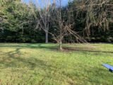 Maison à construire à Orgerus (78910) 2660018-10622annonce120261002DJdD3.jpeg Maisons Balency