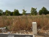 Maison à construire à Mary-sur-Marne (77440) 2596158-11881annonce120260816Wq31X.jpeg Maisons Balency