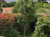 Maison à construire à Saint-Fargeau-Ponthierry (77310) 2665139-4684annonce120261006tTG2K.jpeg Maisons Balency