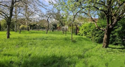 Saint-Leu-la-Forêt Maison neuve - 2576524-11901annonce120260707zZs92.jpeg Maisons Balency