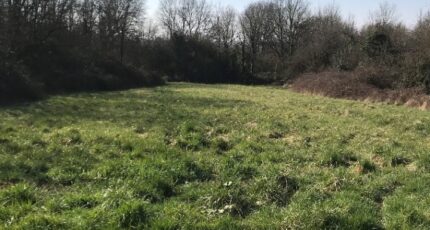 Quincy-Voisins Maison neuve - 2670100-5508annonce1202610097Sx76.jpeg Maisons Balency