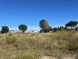 Terrain à bâtir à Laroque-des-Albères (66740) 2623095-4671annonce120260907qaG4t.jpeg Maisons Balency