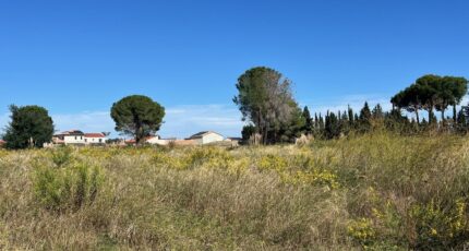 Laroque-des-Albères Maison neuve - 2623121-4671annonce120260907qaG4t.jpeg Maisons Balency