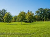 Maison à construire à Vulaines-sur-Seine (77870) 2676761-4684annonce120261014DMEeW.jpeg Maisons Balency